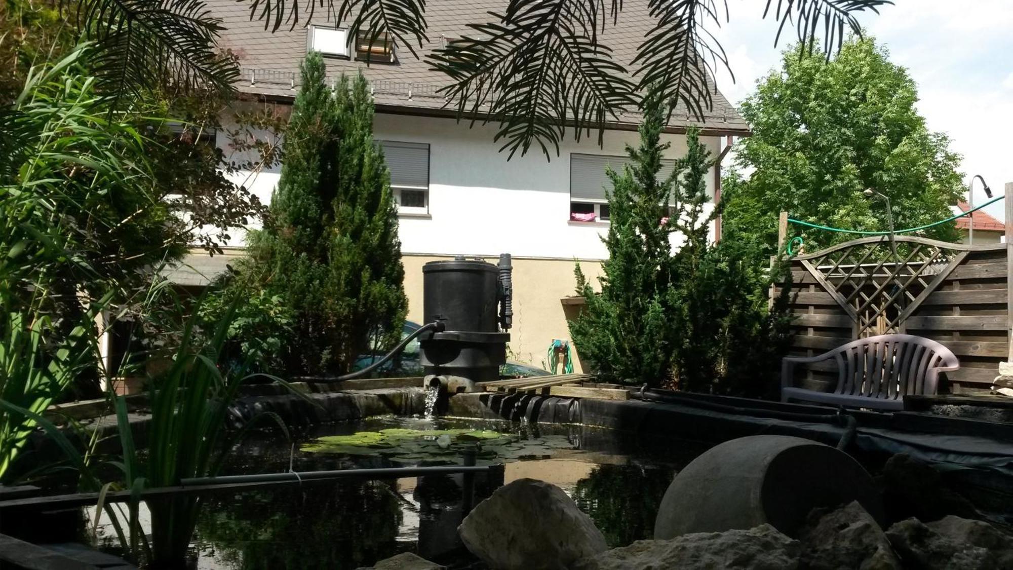フライタールHaus Am Waldrandアパートメント エクステリア 写真